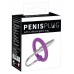 Уретральный буж с силиконовым кольцом под головку Penis Plug Уретральный буж с силиконовым кольцом под головку Penis Plug