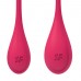 Вагинальные шарики Satisfyer Yoni Power 1 Kegel Balls красные