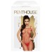 Красный боди-комбинезон с доступом Penthouse Body Search XL