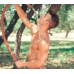 Реалистичный фаллоимитатор FleshJack Boys Allen King Dildo Реалистичный фаллоимитатор FleshJack Boys Allen King Dildo