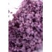 Соль мёртвого моря Shunga Moonlight Bath Aphrodisia с цветочным ароматом 75 гр Соль мёртвого моря Shunga Moonlight Bath Aphrodisia с цветочным ароматом 75 гр