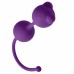 Фиолетовые вагинальные шарики Emotions Roxy