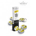 Массажная свеча Petits Joujoux Waikiki Beach Refill ананас и кокос  33 гр