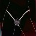 Вибробабочка с вагинальным отростком и анальным стимулятором Butterfly Mini