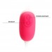 Вагинальные шарики с вибрацией Barnett Pretty Love