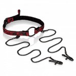 Кляп-кольцо с зажимами для сосков Scandal