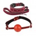 Бондажный набор Taboo accessories Extreme Set №11