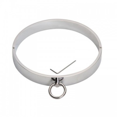 Ошейник стальной с кольцом BDSM Steel Collar