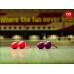 Шарики Fun Factory Smartballs Duo синие